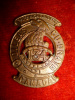 134th Battalion (Toronto Highlanders) Left Collar Badge